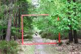 Promenons nous dans les bois 53 * 5184 x 3456 * (11.26MB)